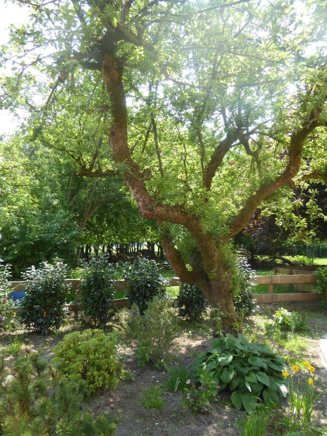 Ferienwohnung Elise Im Gulfhof Am Kanal Grossefehn Экстерьер фото